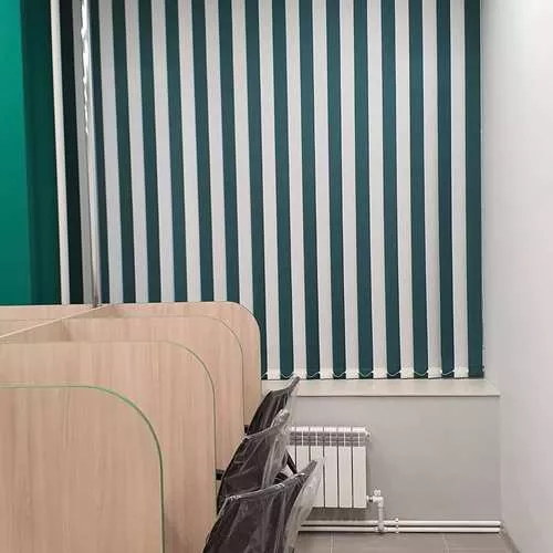 Жалюзи вертикальные фото работ 000316