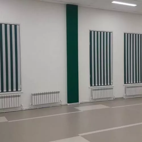 Жалюзи вертикальные фото работ 000342