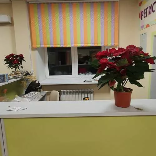 Жалюзи вертикальные фото работ 000364
