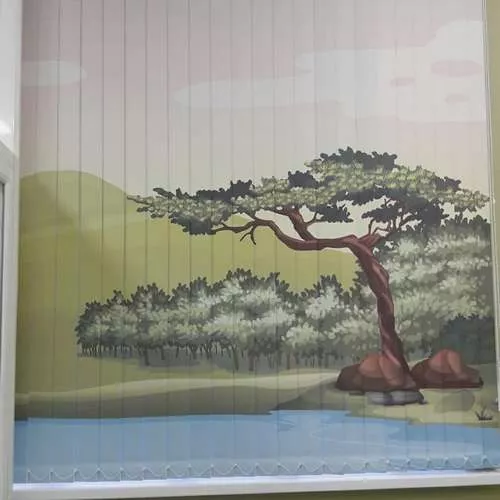 Жалюзи вертикальные фото работ 000449