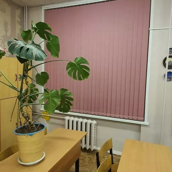Жалюзи вертикальные г. Кохма, школа № 2, фото работ 000527
