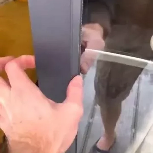 Окна пластиковые фото работ 000036